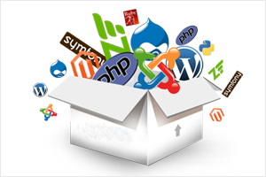 web development